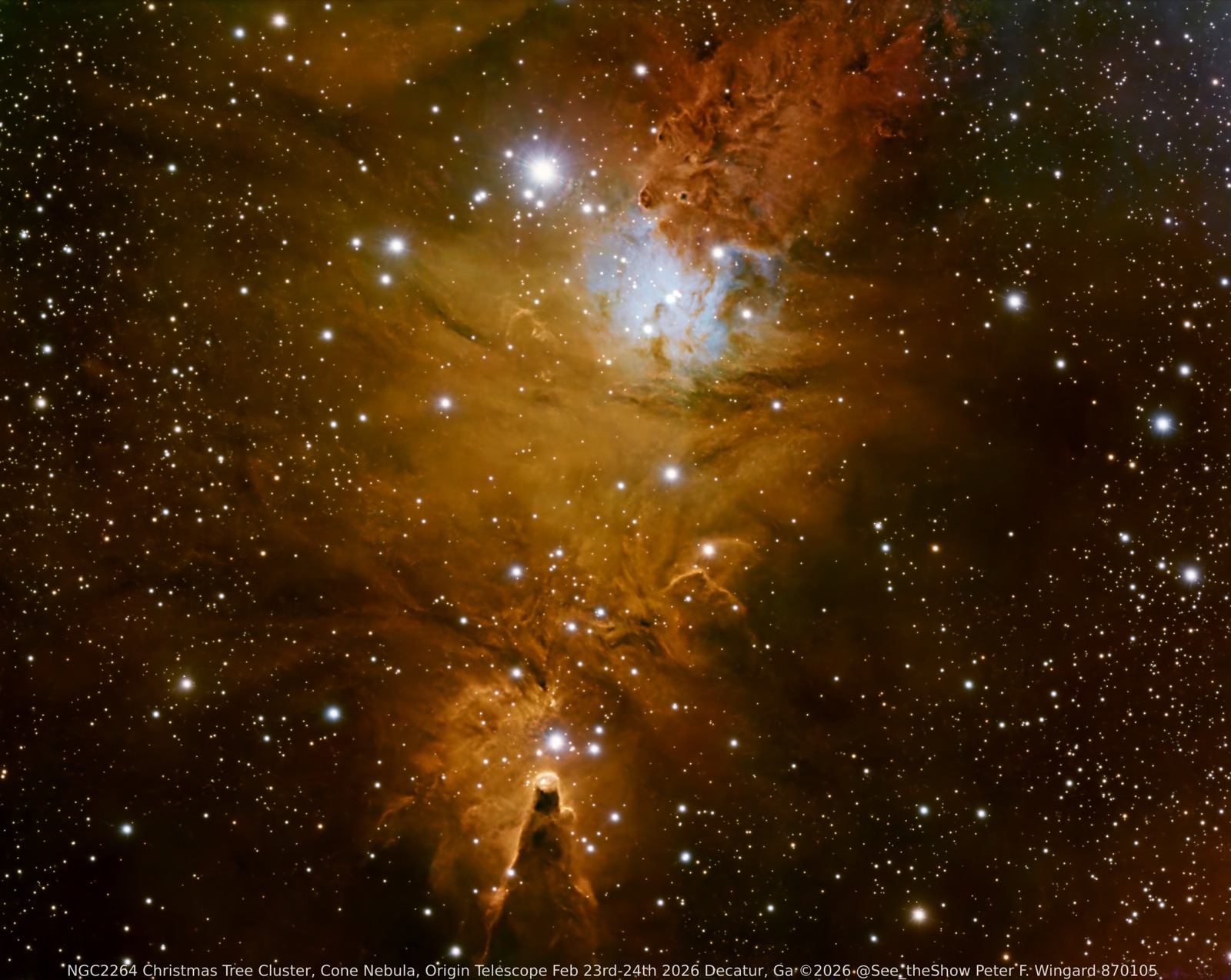 NGC 2264 Christmas Tree Cluster and Cone Nebula