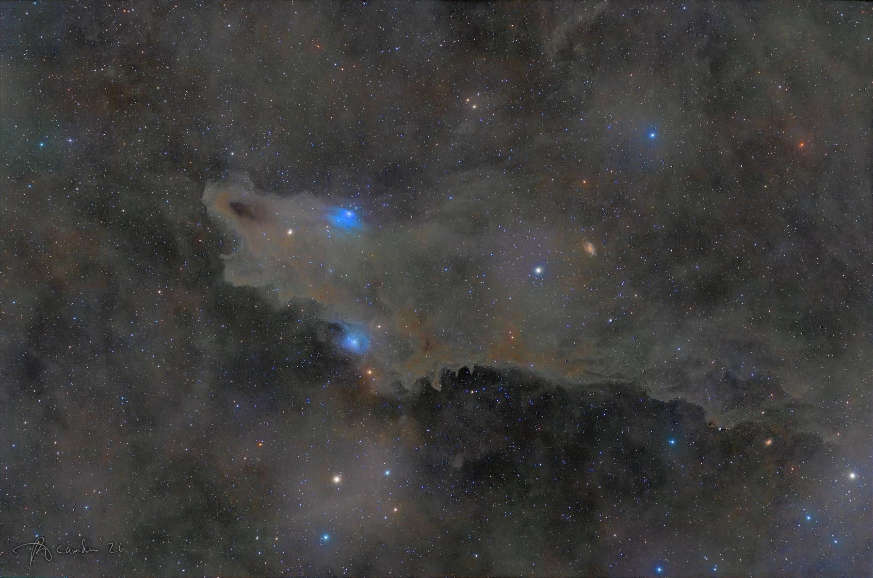 The Dark Shark, LDN 1235 — a grey-brown dust cloud shaped like a shark across a star field in Cepheus, with two small blue reflection nebulae