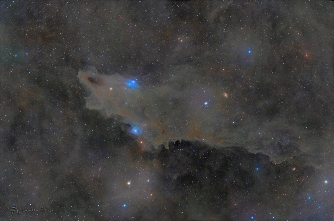 The Dark Shark — LDN 1235 in Cepheus