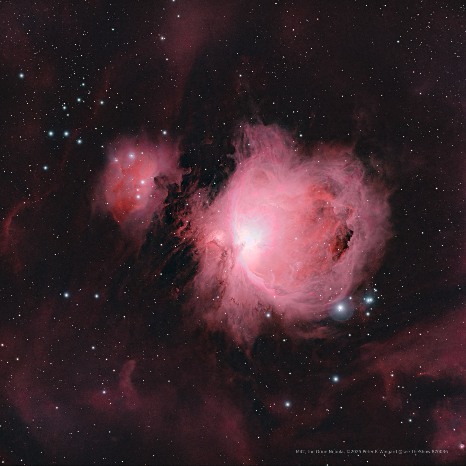 M42, the Orion Nebula