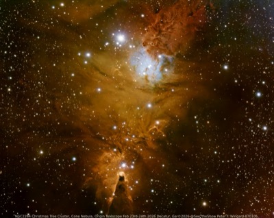 NGC 2264 Christmas Tree Cluster & Cone Nebula