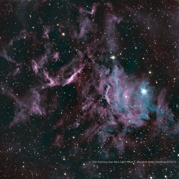 Flaming Star Nebula