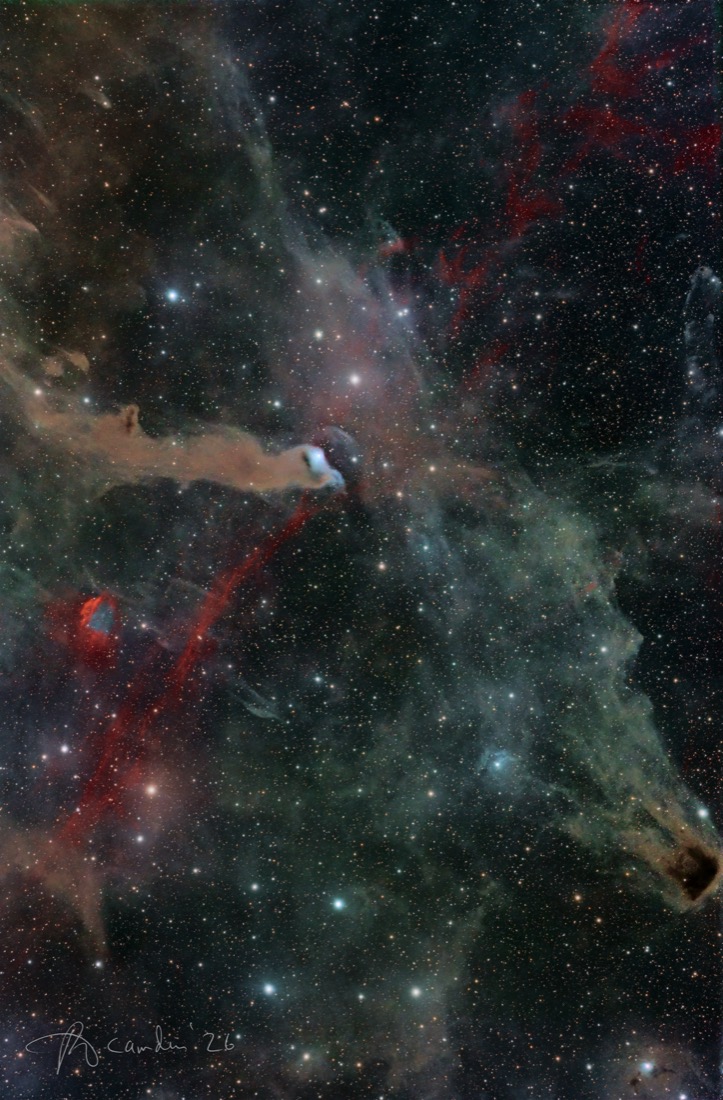 Wolf's Cave — vdB 152 and Barnard 175 in Cepheus
